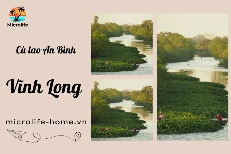 cu-lao-an-binh-vinh-long-huong-dan-du-lich-miet-vuon-chi-tiet