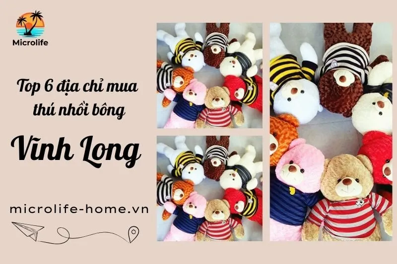 dia-chi-mua-thu-nhoi-bong-vinh-long-top-6-shop-chat-luong-nhat