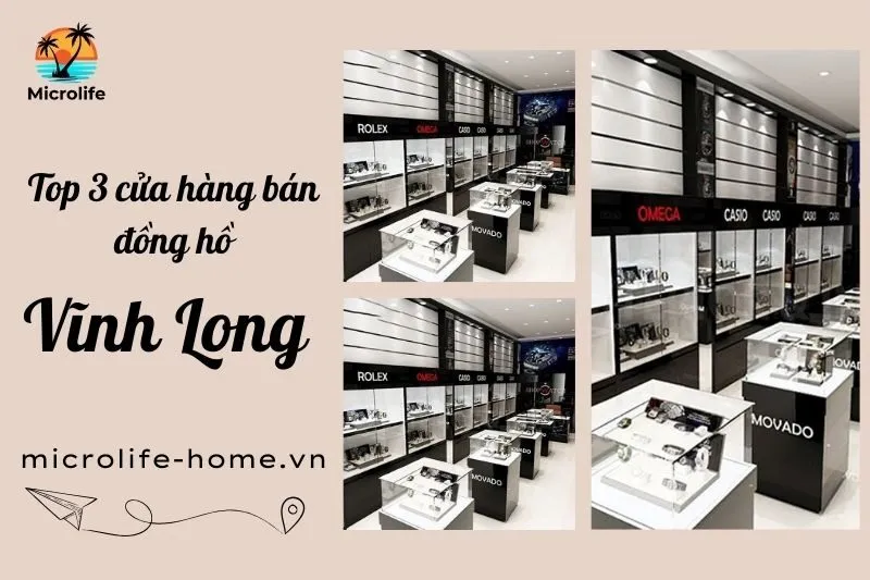top-3-cua-hang-ban-dong-ho-vinh-long-uy-tin-dia-chi-gia