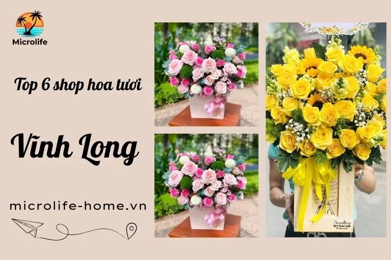 top-6-shop-hoa-tuoi-vinh-long-dep-gia-tot-giao-nhanh-tan-noi